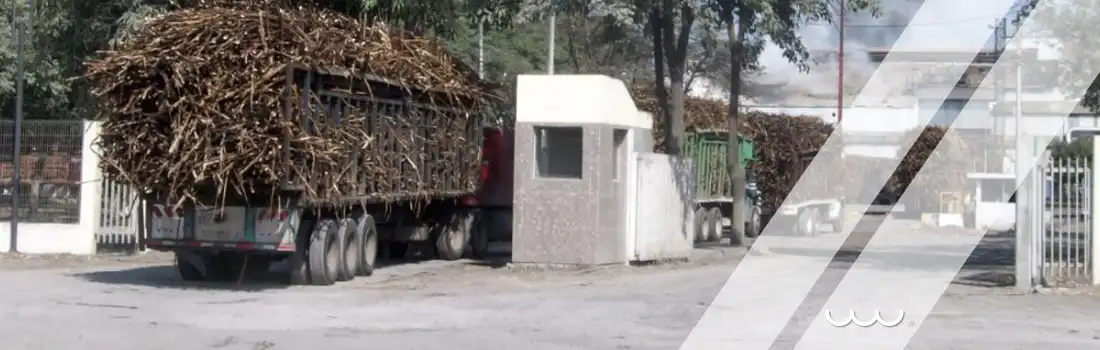 Proyecto ISPRO – Ingenio