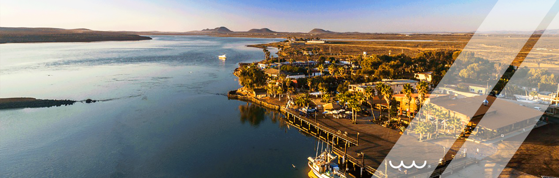 Proyecto Planta San Quintín