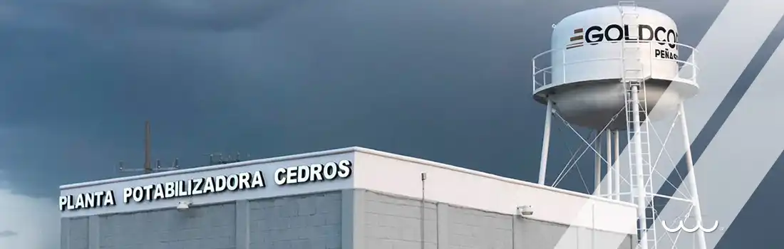 Proyecto Cedros