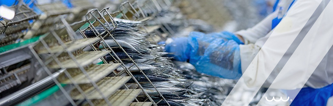 Proyecto Sardinas Sonora (expansión)