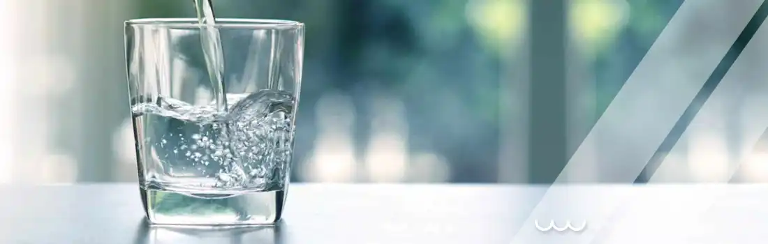 Proyecto Químicos Integrales