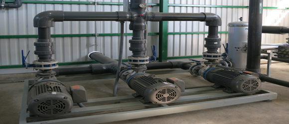 Citrofrut, Paso Largo, Veracruz.