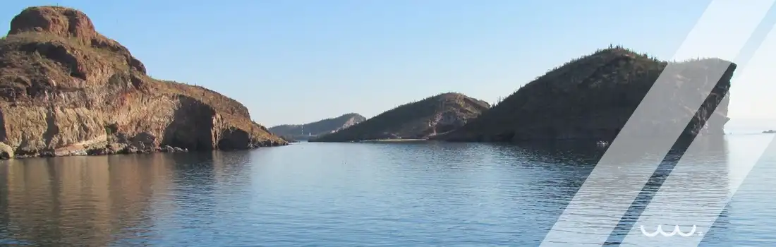 Proyecto Sardinas Sonora