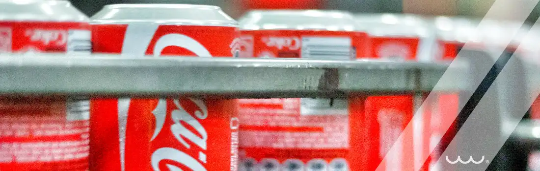 Proyecto Coca-Cola Pachuca