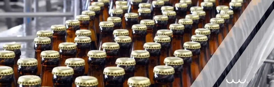 Proyecto Grupo Modelo