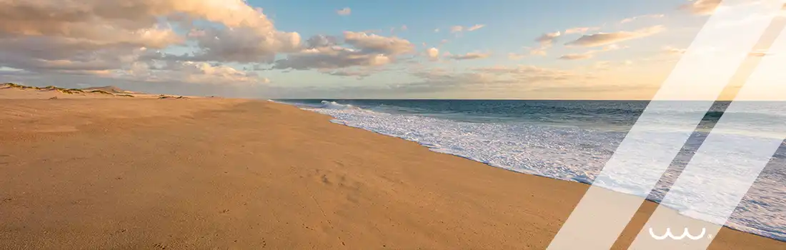 Proyecto Rancho San Lucas