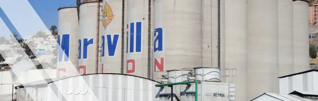 Proyecto Aceitera Maravilla