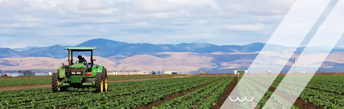 Proyecto Santa Azul Perú