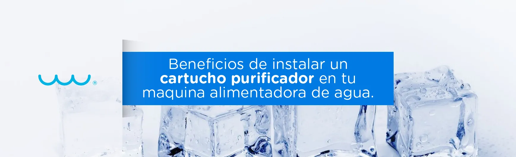 Beneficios de instalar un cartucho purificador en tu maquina alimentadora de agua.